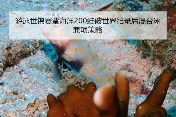 游泳世锦赛覃海洋200蛙破世界纪录后混合泳兼项策略